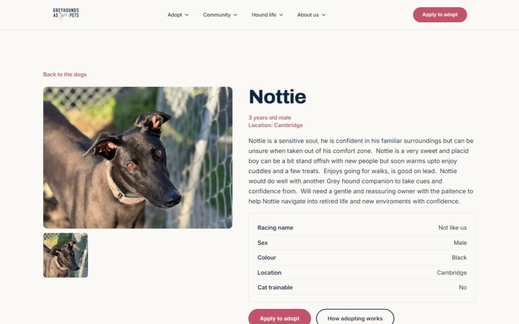 Screenshot: A dog’s own page, with gallery, facts and an age that keeps itself current