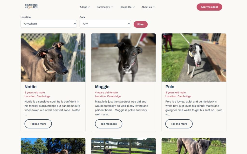 Screenshot: Meet our dogs: cards from the CRM, filtered by location and cats