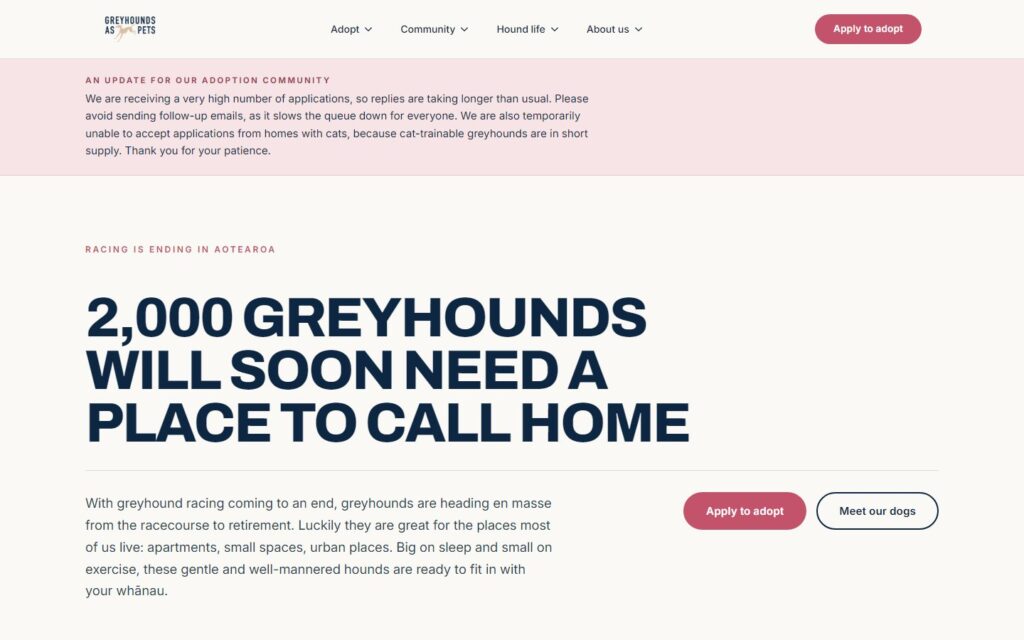 Screenshot: The redesigned home page