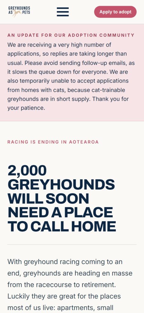 Screenshot: The home page on a phone